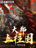 大郑上柱国 大郑上柱国