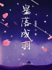 星落成羽