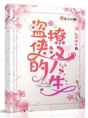 盗侠的撩汉人生