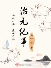 治元纪事 治元纪事