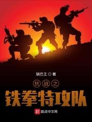 抗战之铁拳特攻队 抗战之铁拳特攻队