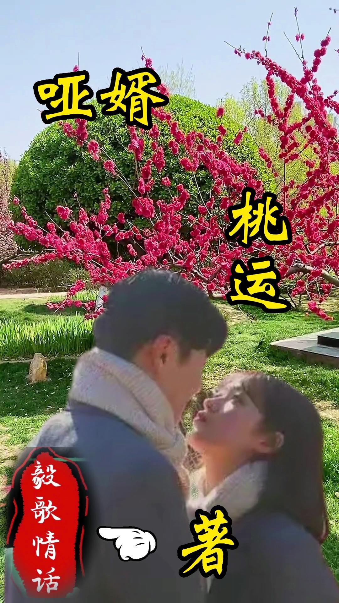 哑婿桃运 哑婿桃运