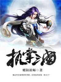 执掌三国 执掌三国