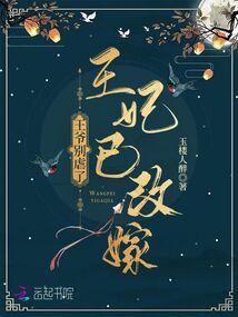 王爷别虐了,王妃已改嫁 王爷别虐了,王妃已改嫁