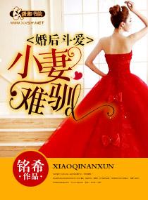 婚后斗爱之小妻难驯 婚后斗爱之小妻难驯