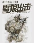 雪狼出击 雪狼出击