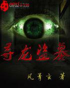 寻龙盗墓 寻龙盗墓