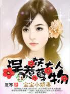 宝宝小娇妻:误惹妖孽大人物 宝宝小娇妻:误惹妖孽大人物