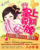 萌妃酷帅狂霸拽:皇上要翻牌 萌妃酷帅狂霸拽:皇上要翻牌