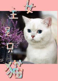女主是只猫 女主是只猫