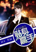 美女总裁之贴身高手 美女总裁之贴身高手