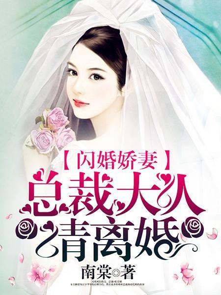 闪婚娇妻:总裁大人请离婚 闪婚娇妻:总裁大人请离婚