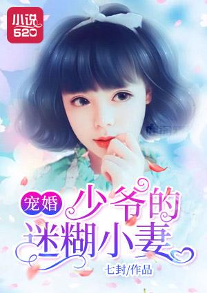 宠婚:少爷的迷糊小妻 宠婚:少爷的迷糊小妻