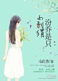 汾乔是只小刺猬 汾乔是只小刺猬