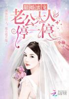 甜婚蜜宠:老公大人停一停 甜婚蜜宠:老公大人停一停