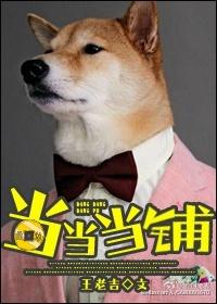 当当当铺 当当当铺