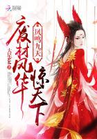 凤鸣九天:废材风华惊天下 凤鸣九天:废材风华惊天下