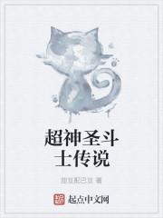 超神圣斗士传说 超神圣斗士传说