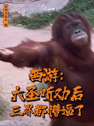 西游:大圣听劝后,三界都懵逼了 西游:大圣听劝后,三界都懵逼了