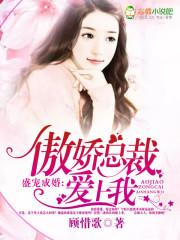 盛宠成婚,傲娇总裁爱上我 盛宠成婚,傲娇总裁爱上我
