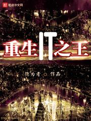 重生IT之王 重生IT之王
