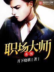 职场大师系统 职场大师系统