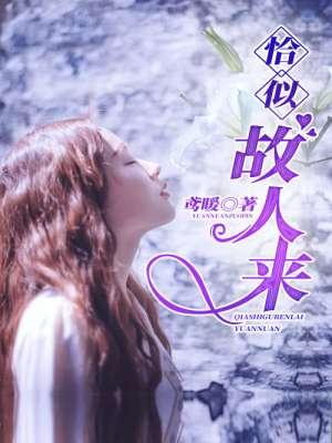 恰似故人来 恰似故人来