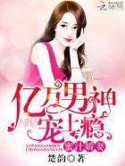 蜜汁娇妻:亿万男神宠上瘾 蜜汁娇妻:亿万男神宠上瘾