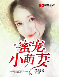 代孕妈妈追婚记 代孕妈妈追婚记