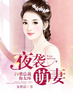 夜袭萌妻:闪婚总裁你太坏 夜袭萌妻:闪婚总裁你太坏