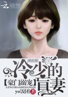 豪门溺宠:冷少的盲妻 豪门溺宠:冷少的盲妻
