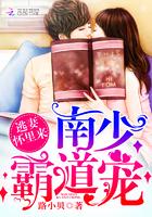 南少霸道宠:逃妻,怀里来! 南少霸道宠:逃妻,怀里来!