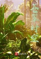 苍翠时空 苍翠时空