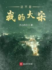 这不是我的大宋