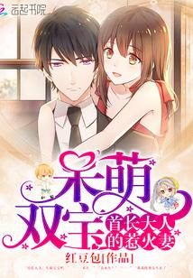 呆萌双宝:首长大人的惹火妻 呆萌双宝:首长大人的惹火妻