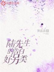 陆先生的告白好另类