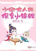 少卿大人的探案小锦鲤 少卿大人的探案小锦鲤