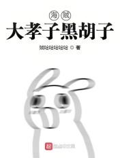 海贼大孝子黑胡子 海贼大孝子黑胡子