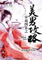 穿越图鉴之美男攻略 穿越图鉴之美男攻略