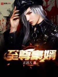 至尊豪婿 至尊豪婿