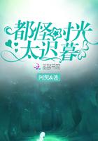 都怪时光太迟暮 都怪时光太迟暮